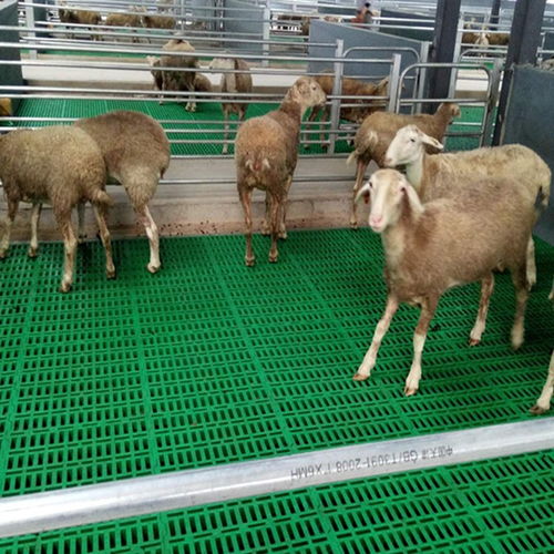 绵羊用网床 高性价比羊床 羊漏粪板的规格和图片